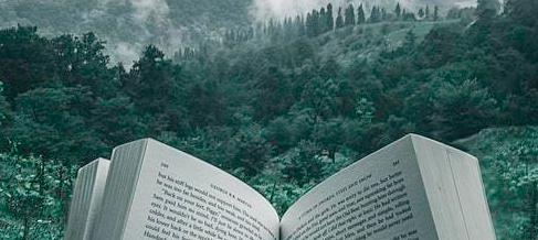 A Will to Kill by RV Raman- a tale of misty mountains and murder | Book Review